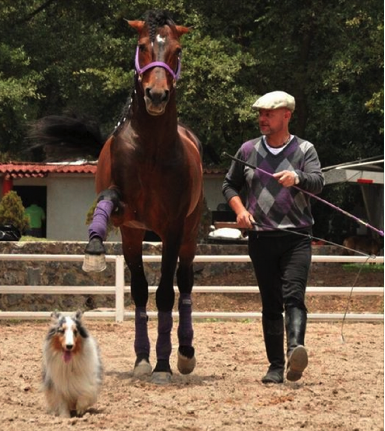 Ursula Stockder Busch – The Spiritual Dimension of Horses